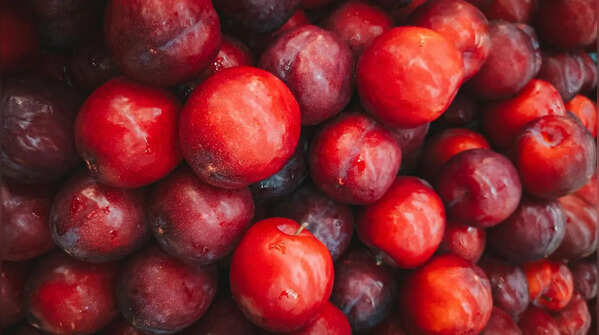 How to grow plums in containers on a balcony