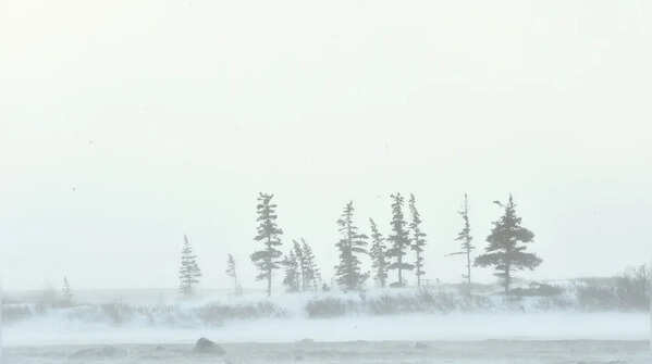 Napoleon’s retreat from Russia and the harsh winter – 1812