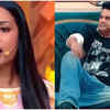 ​On Krushna roasting her on TV shows