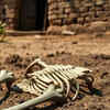 Article image for: Missing Malad engineer’s burnt bones found in Maharashtra's Chiplun, 2 arrested