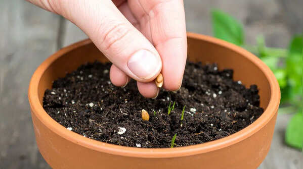 Select a large pot with support