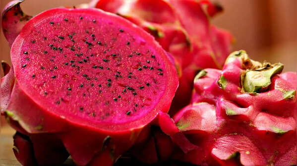 How to grow dragon fruit in pots on a balcony