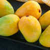Sindhri Mango 