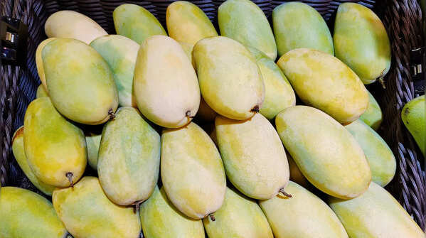 Carabao Mango
