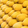 Article image for: <i class="tbold">kesar</i> Mango