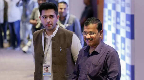 ‘Kejriwal ke sipaahi’ back leadership