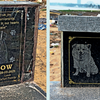 Article image for: Pet graves with poetic epitaphs on Visakhapatnam beach tell tails of lost love
