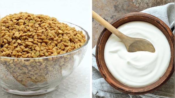 The Magic of Methi and Curd
