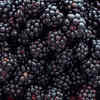 Article image for: Blackberries