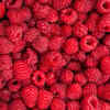 Raspberries