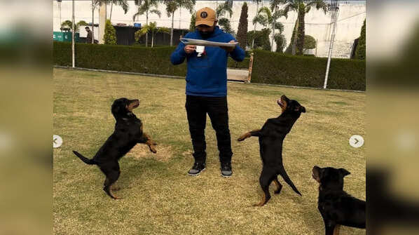 With his furry friends