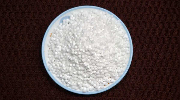 What makes Sabudana an ideal meal option?