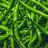 Green Chillies 