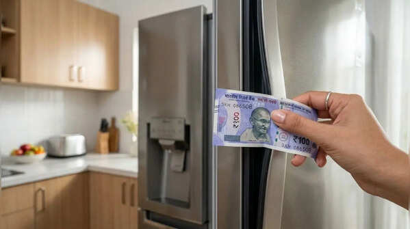 How to check your refrigerator door seal