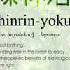 3. Shinrin-yoku