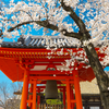 Article image for: 6 Japanese ideas that quietly help calm an overthinking mind