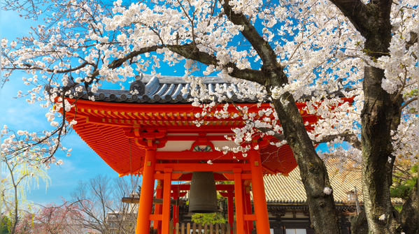 6 Japanese ideas that quietly help calm an overthinking mind