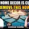 Article image for: Vastu Warning: Is Your Home Decor Attracting Negative Energy? Remove This Now | <i class="tbold">shubham</i> Sharma