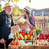 Pick fresh seasonal ingredients
