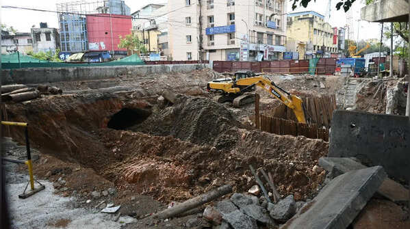 <strong>Urban greening and biodiversity</strong>