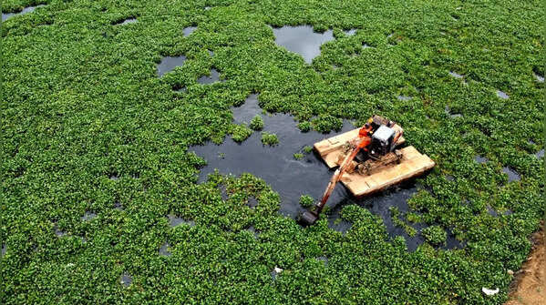 <strong>Canal makeover project costs Rs 45 crore</strong>