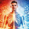 Article image for: Your bones may hold key to better blood sugar control