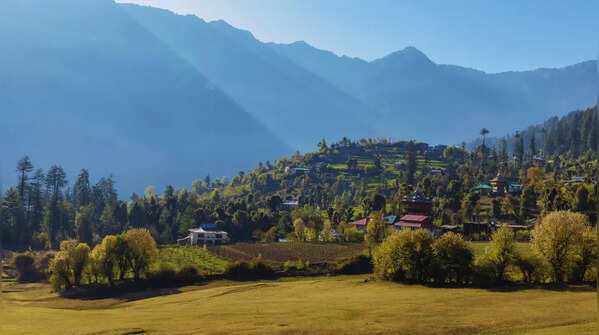 Relax in the meadows of Shangarh in Himachal Pradesh