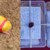 Article image for: Heroin worth Rs 8 crore dropped by Pakistani drone recovered in Rajasthan; 16 kg drugs seized in 3 days