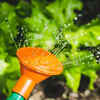 Water and feed regularly