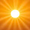 Article image for: Give the plant full sun