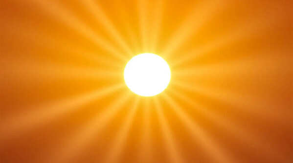 Give the plant full sun