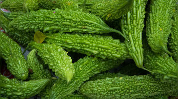 How to grow karela (bitter gourd) in containers at home