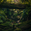 Spend time in nature