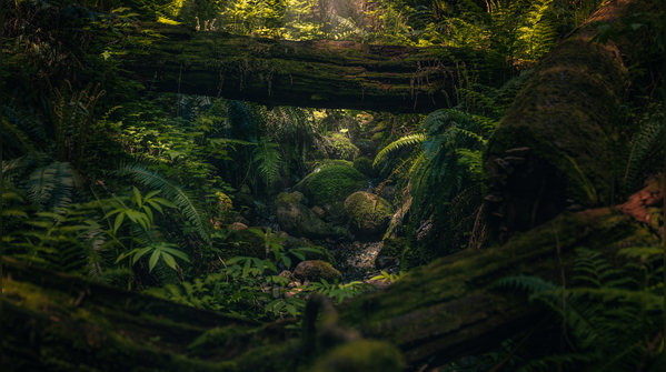 Spend time in nature