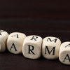 Article image for: 4. The karmic contract