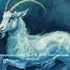 Article image for: Capricorn Horoscope Today, April 10, 2026: Don’t let mood control decisions
