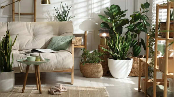 Biophilic luxury theme