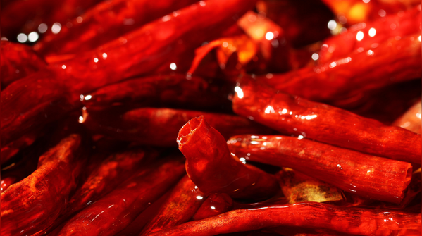 Chilli pepper