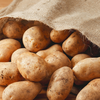 Article image for: Potato