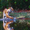 Article image for: An exclusive experience of <i class="tbold">wildlife</i> viewing