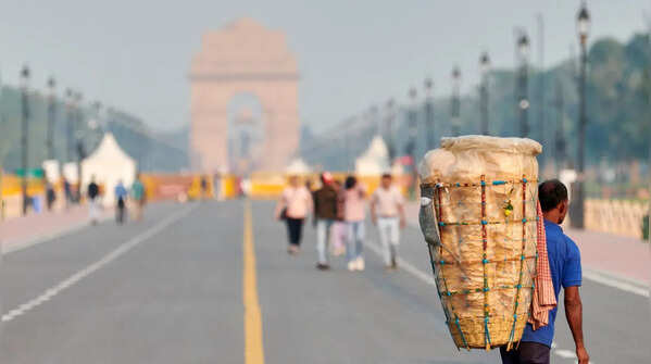 Must-have street foods beyond Chole Bhature and Butter Chicken