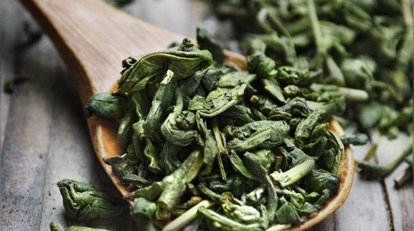 The Antioxidant Powerhouse: Green Tea
