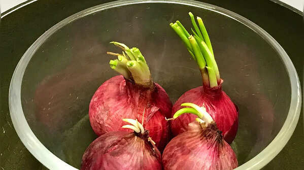 Onions