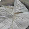Article image for: Importance of paneer and why <i class="tbold">FSSAI</i> is paying extra attention to it