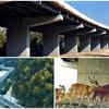 Article image for: <i class="tbold">delhi</i>-Dehradun Expressway Wildlife Corridor