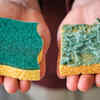 Article image for: How often you should replace <i class="tbold">kitchen</i> sponges and brushes