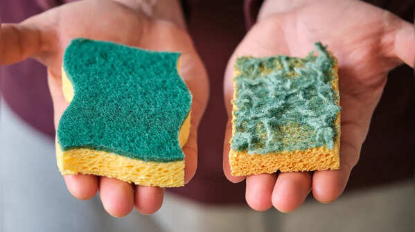 How often you should replace kitchen sponges and brushes