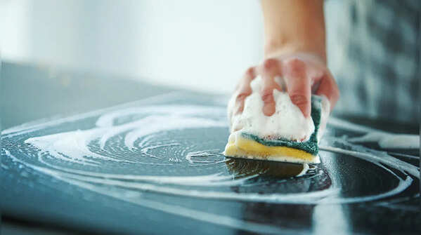 Kitchen sponges and brushes-breeding ground of pathogens