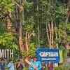 Article image for: Dev enjoying a <i class="tbold">Game</i> of cricket