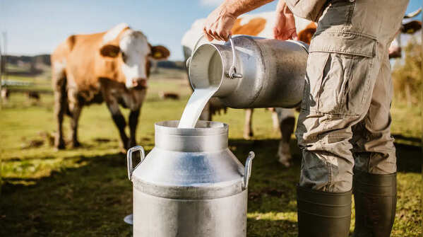Milk and food additives